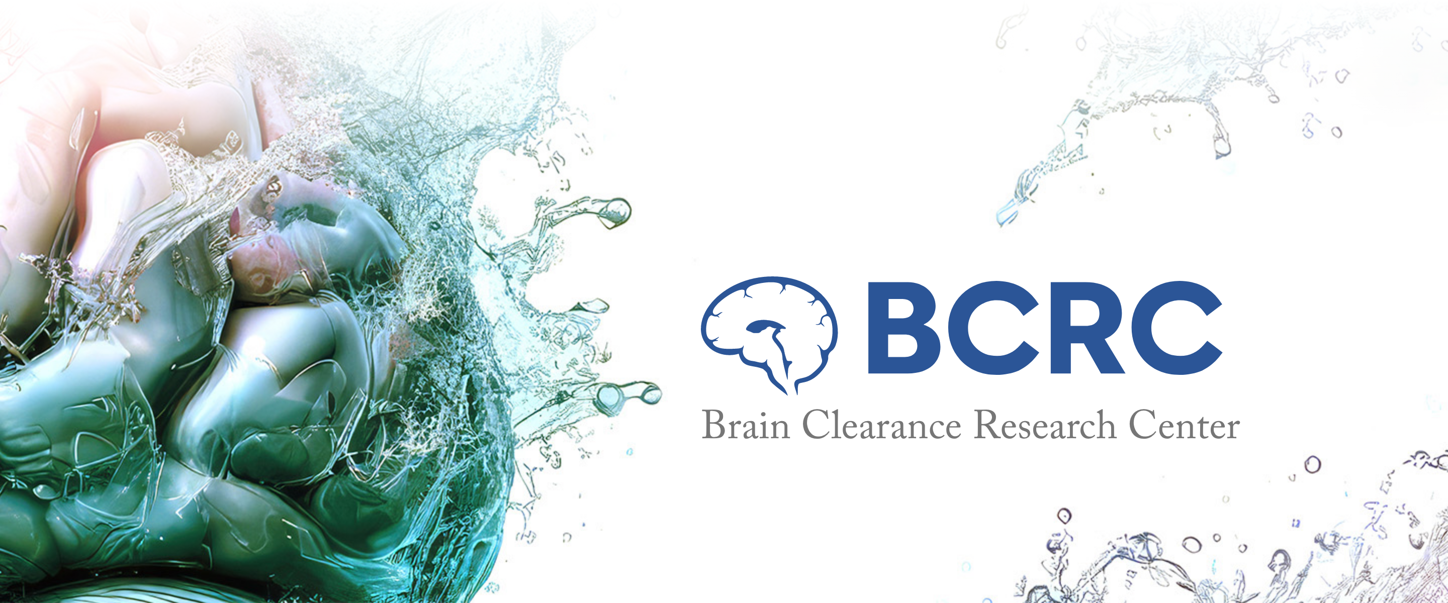 Brain Image Homepage